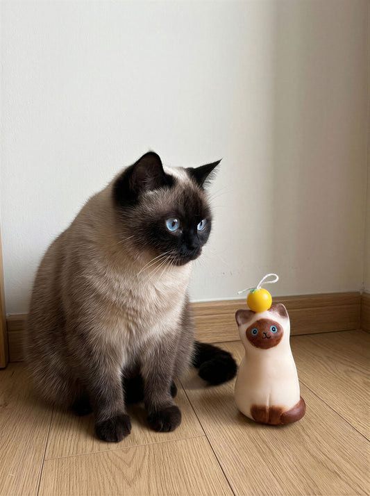 Siamese Cat Candle 95g/3.35oz · Tuberose — Handmade Calming Candle