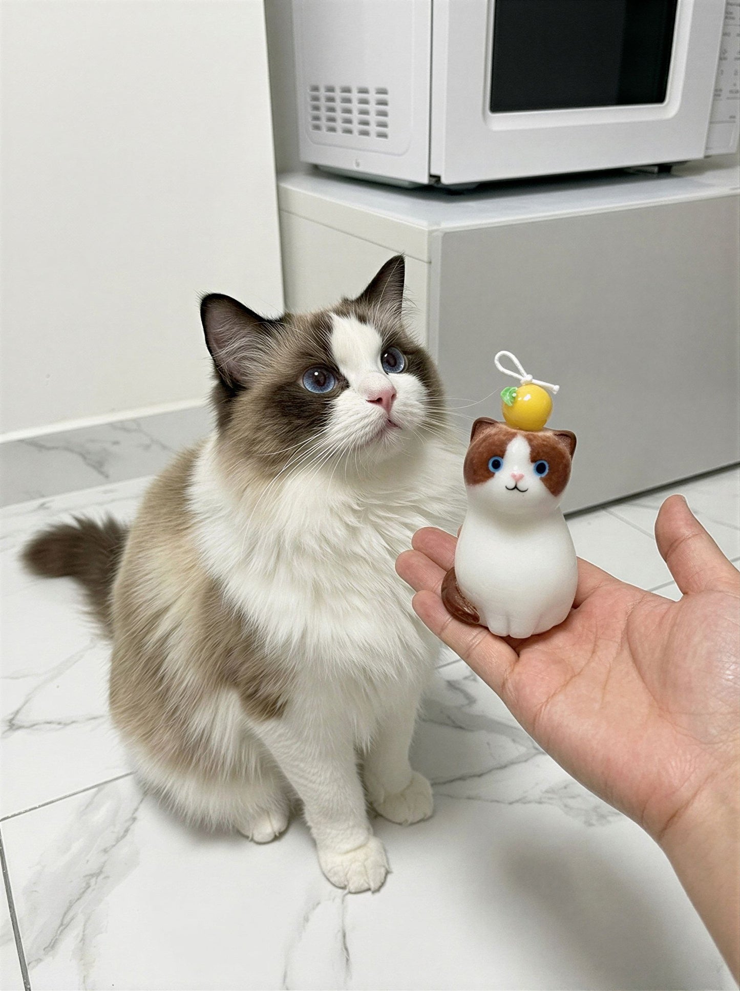Ragdoll Cat Candle 133g/4.7oz · Cedar — Handmade Calming Candle